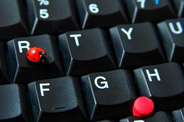 Where Are the Bugs Hiding, ladybug