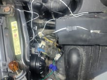 This is my troublesome side (LH). 3 wires coming from turn signal.