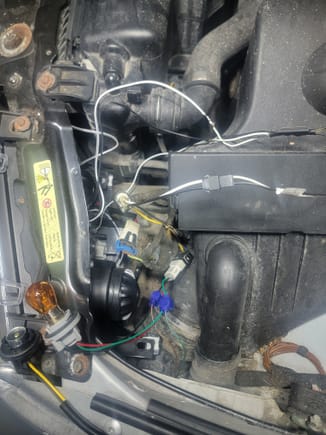 This is my troublesome side (LH). 3 wires coming from turn signal.