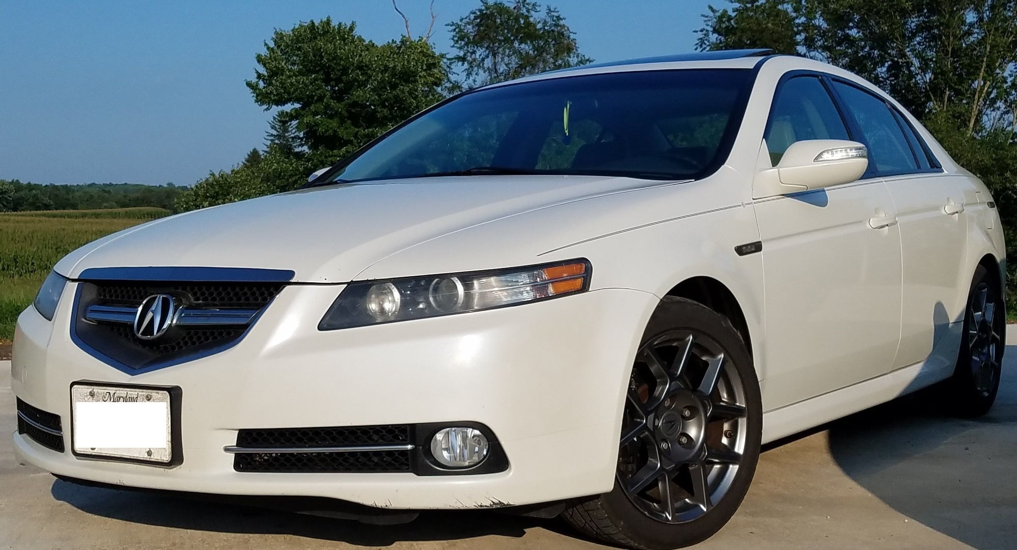 08 Acura Tl Type S Hot Sex Picture