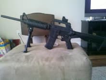Bushmaster AR 15