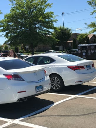 My car back to back with a TLX