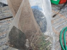 She also found this bag of trash. Looks like Chevy backup light lenses, and a speaker cover 
