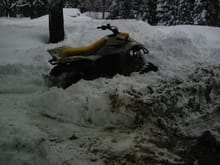 the tb stuck in the snow                                                                                                                                                                                