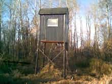 pic of my new deerstand i built