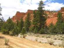 Red Canyon, UT
