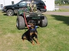 Kaiser, guards trophy's and bike.Haven't had one problem with people mess'in with bike's                                                                                                        