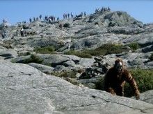 Bigfoot Boston Globe  960x600 300x187