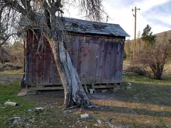 Shack