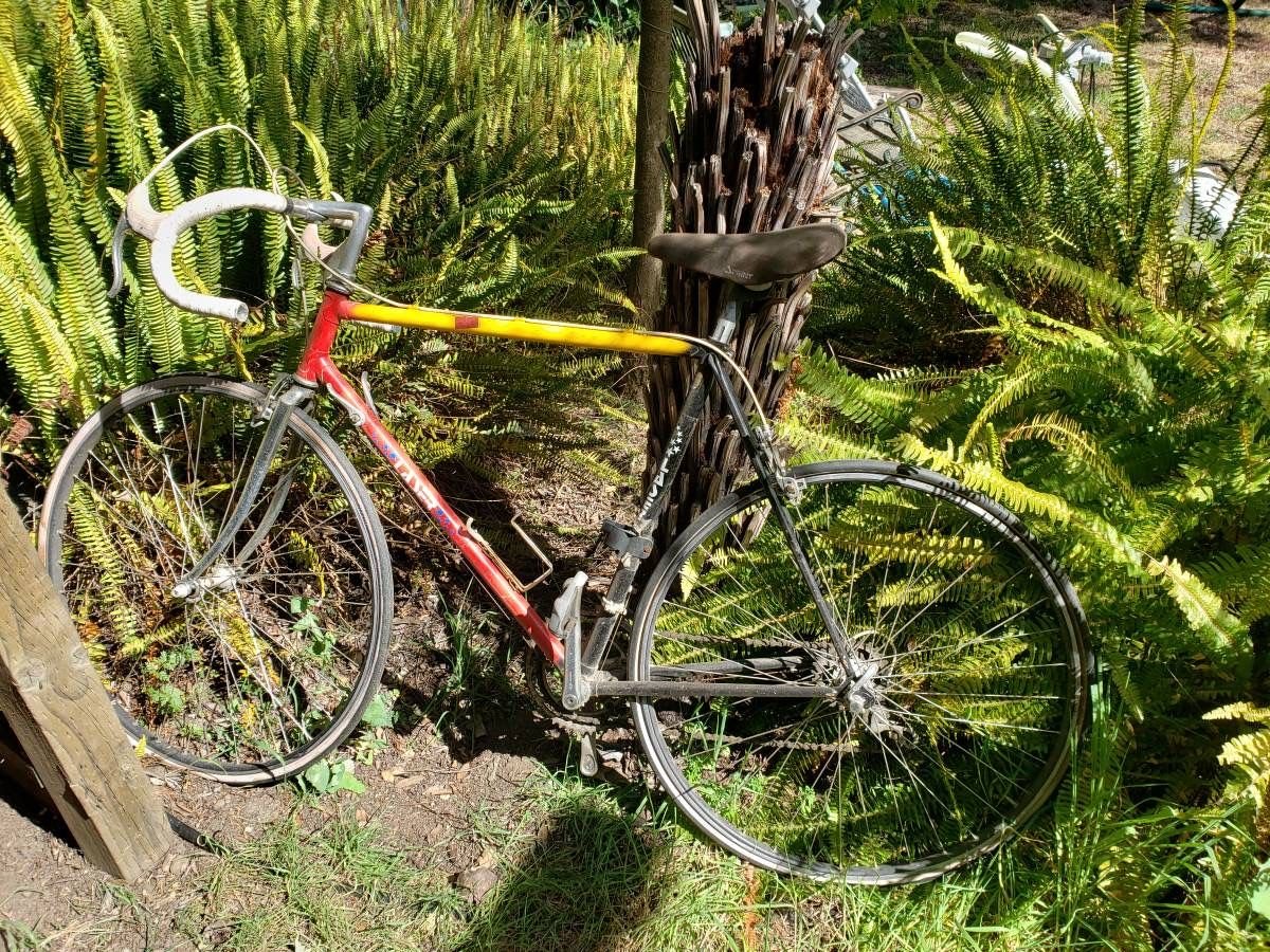 lazer custom bike