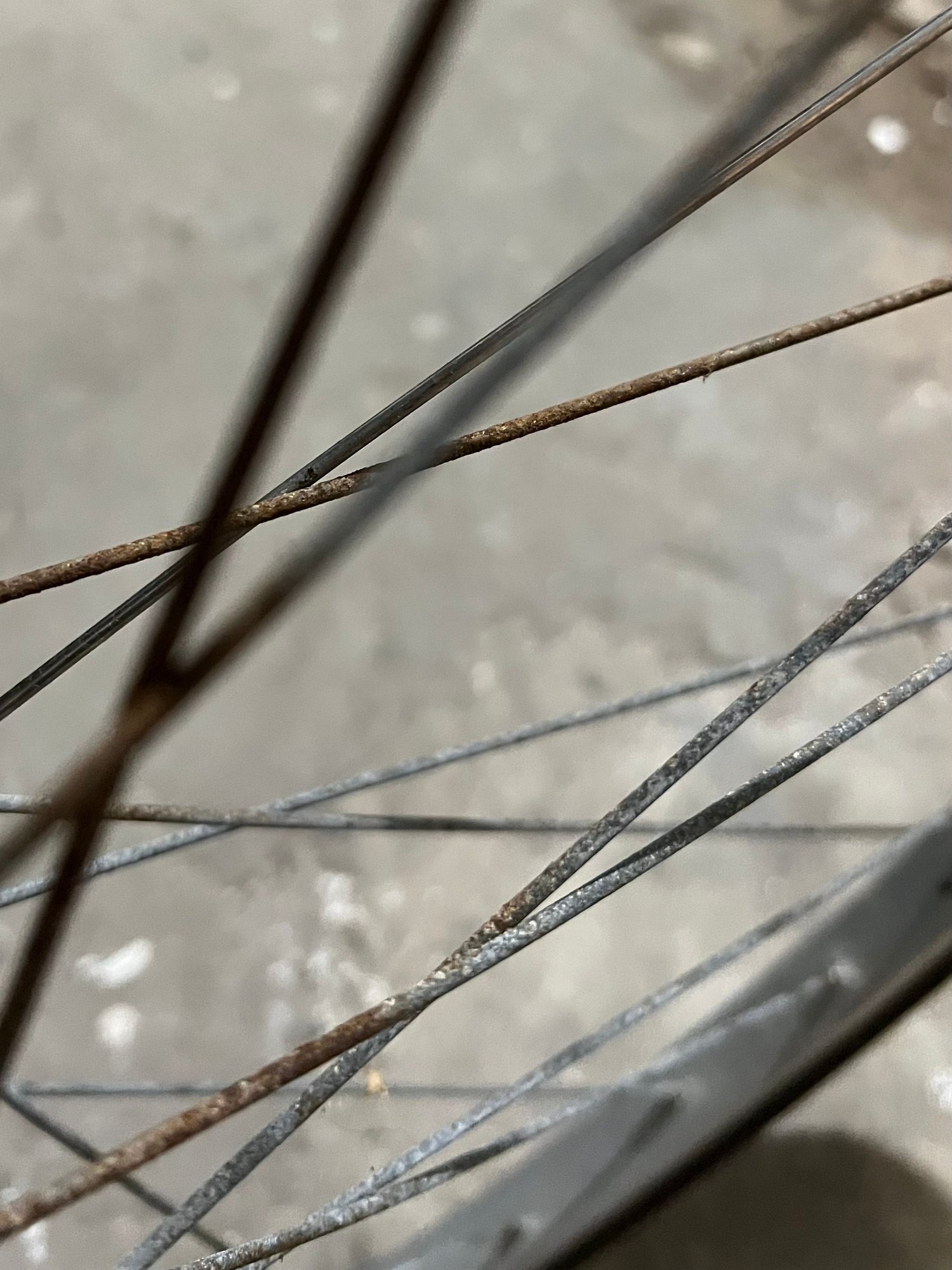 Rusty spokes—are these wheels rideable? Bike Forums