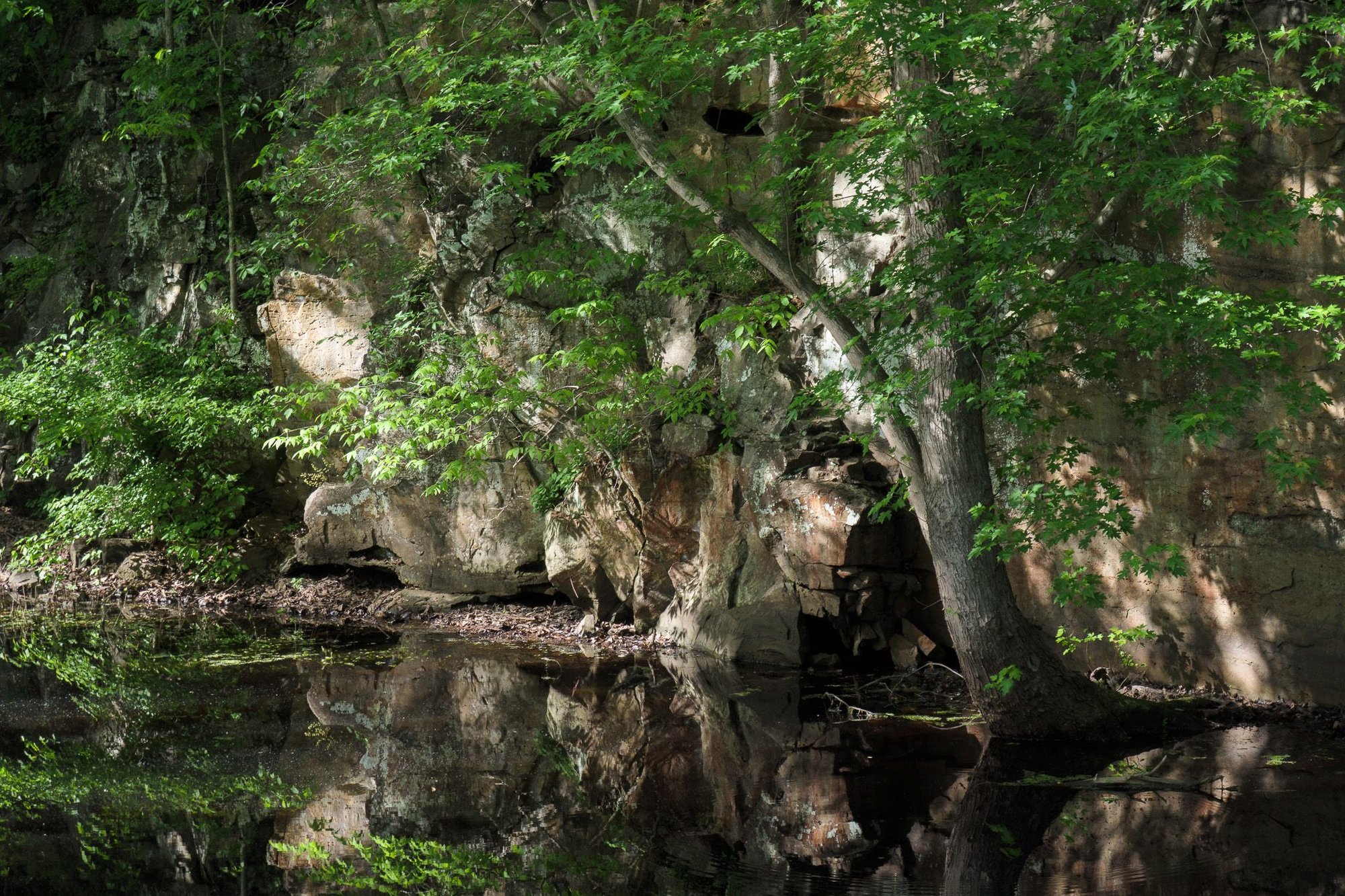 Along the C&O