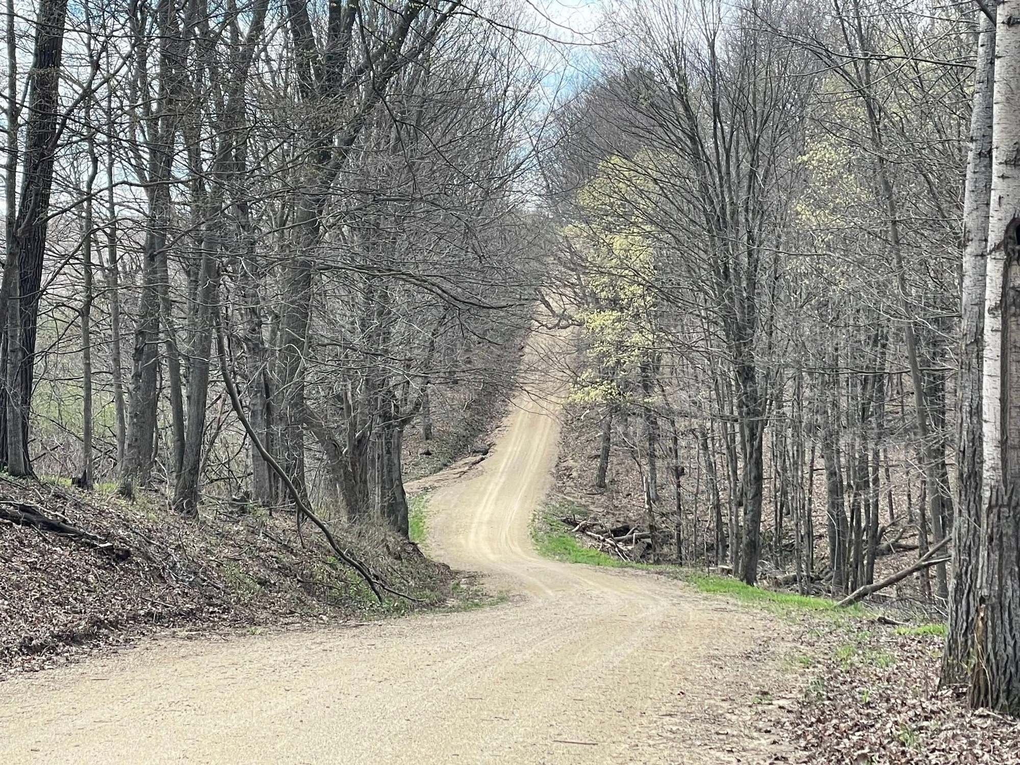 But it quickly turned to this. gravel roads going steeply (6-9%) up into the trees.