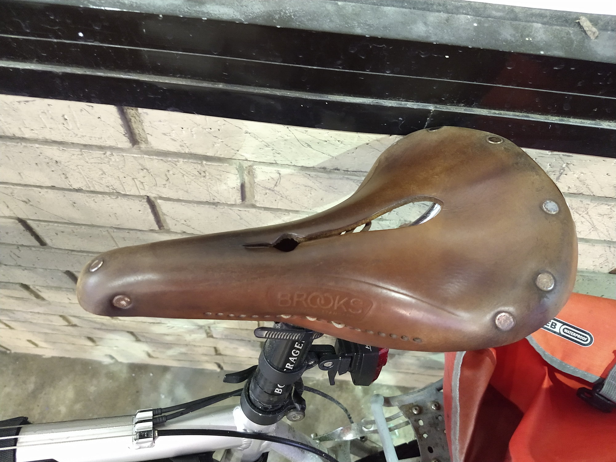 cutout saddle