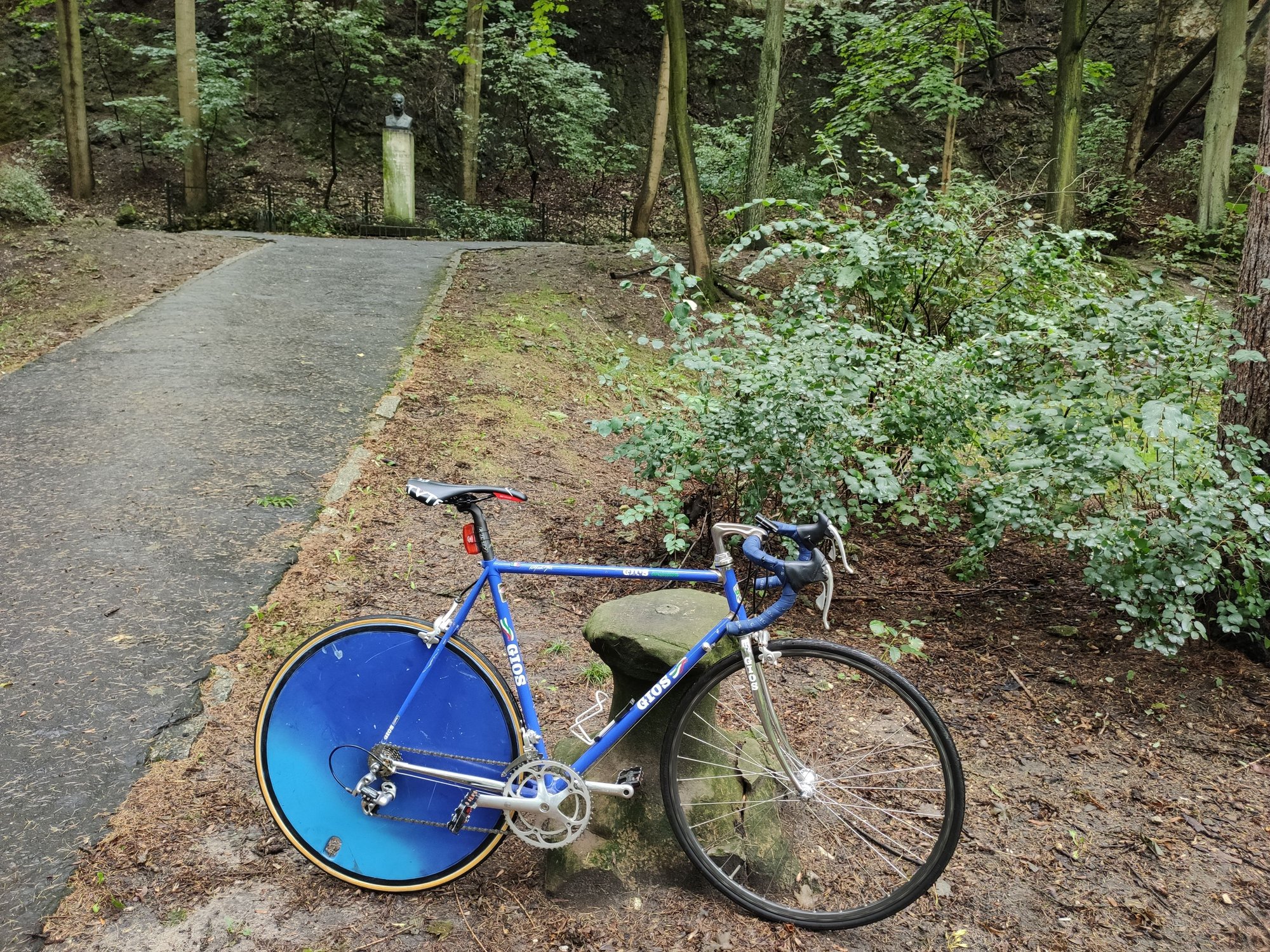 Vintage Disc Wheel Bike Forums