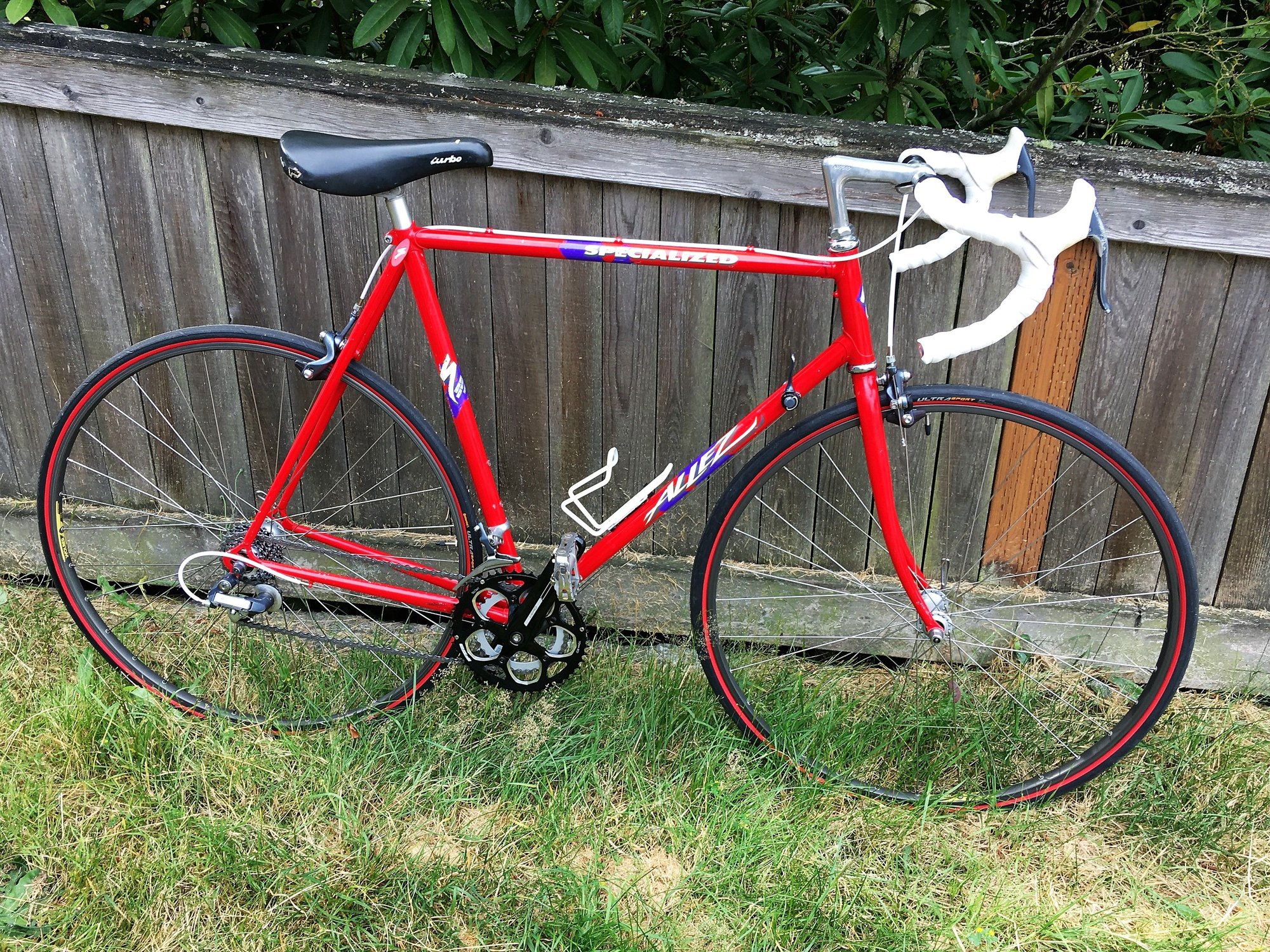 My 1989 Lugged Specialized Allez with Custom Paint Bike Forums