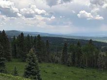 Near 10,000 feet. Cool dry and low humidity. Northern New Mexico. Carson NF. 