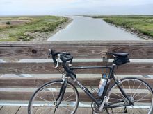 San Lorenzo creek. A lot of debris out in the mudflats after this years storms.