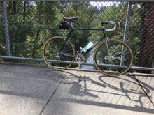 An old faithful bike, thru many prior builds and going forward maybe.