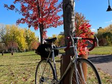 A pic from last fall.