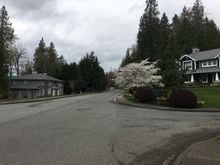 Trees in blossom everywhere.