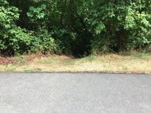 Here’s a favorite rabbit hole along the way, and … 