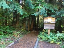 Trailheads where I used to start FS Ranger walks. Just off the hwy
