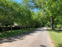 The view in front of the grand gentleman farmer’s place ….