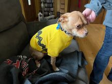 He's not exactly crazy about the weather get cold enough where he needs to wear a sweater.