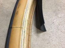 found this between tube and tire. quite thick and around whole circumference