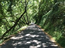 Butters Road climb, one of my favorite local roads.