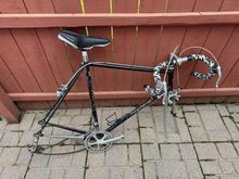Seller pic os a sad looking Simoncini