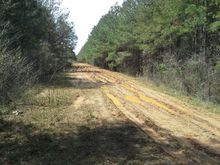 Another five miles in, it turned to insane clay mud (logging operation). I had to walk a mile or two of it, mostly back in the pines given the depth of the mud