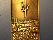 Saguaro National Park head tube badge