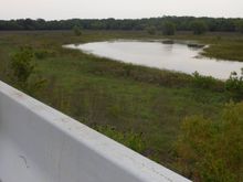 This section of Addicks Reservoir is always wet and boggy.