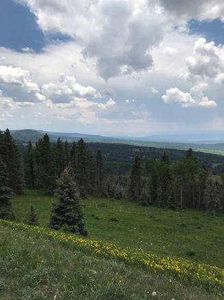 Near 10,000 feet. Cool dry and low humidity. Northern New Mexico. Carson NF. 