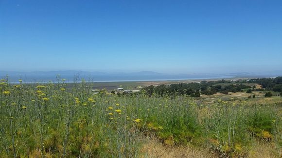 View from top of preserve. 