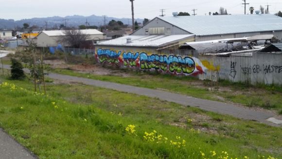 Via Richmond Greenway 