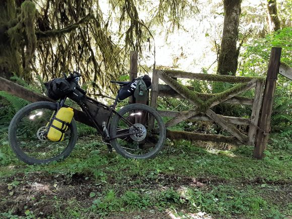 Loving the moss covered gate in this photo.