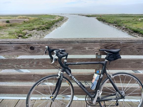 San Lorenzo creek. A lot of debris out in the mudflats after this years storms.