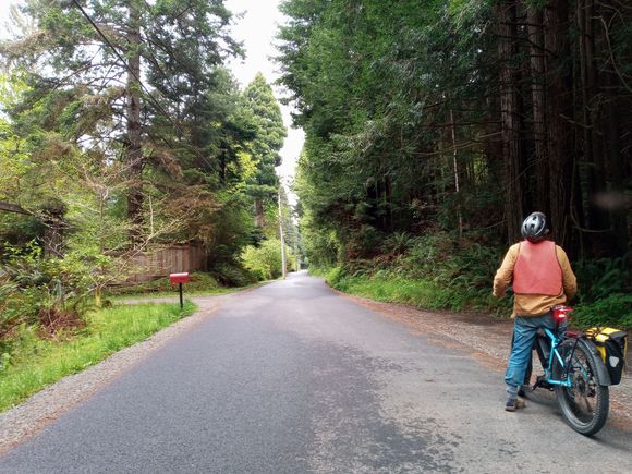The beautiful Jacoby Creek Road