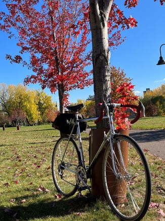 A pic from last fall.