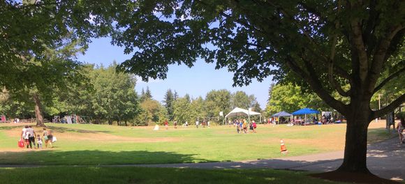 Folks enjoying the park in Newcastle.