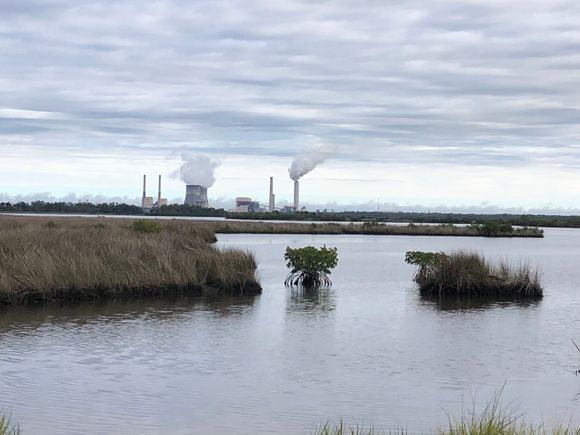 Crystal River Power Plant