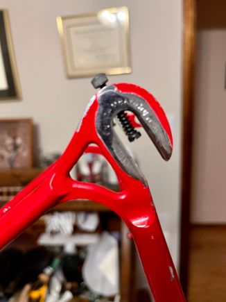 Campy chromed dropouts