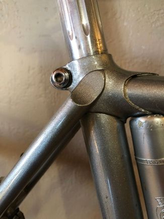 Silva pimp with Campy head included in the deal