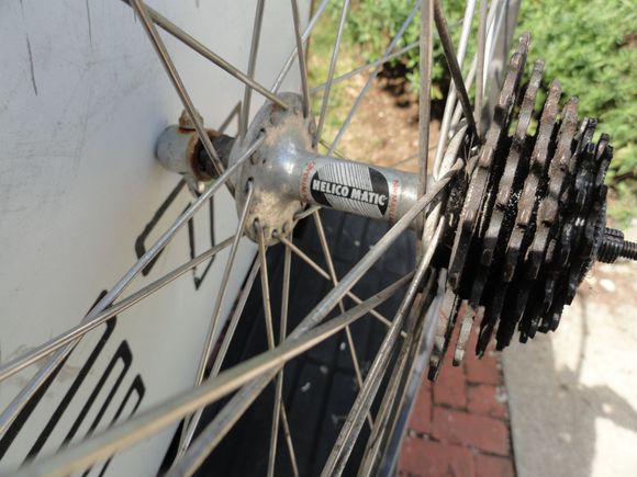 hub and intact cassette