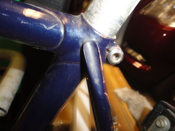 Seat stay treatment and lug design.