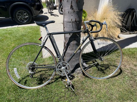1982 Nishiki Comp II