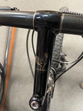 Bruce Gordon stem. 